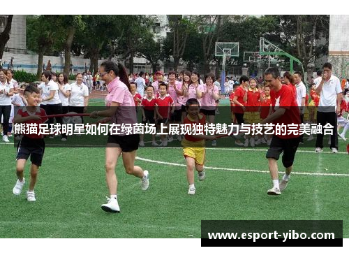 熊猫足球明星如何在绿茵场上展现独特魅力与技艺的完美融合
