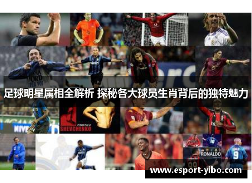 足球明星属相全解析 探秘各大球员生肖背后的独特魅力