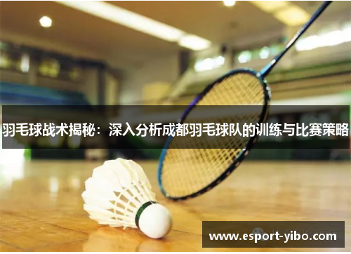 羽毛球战术揭秘：深入分析成都羽毛球队的训练与比赛策略
