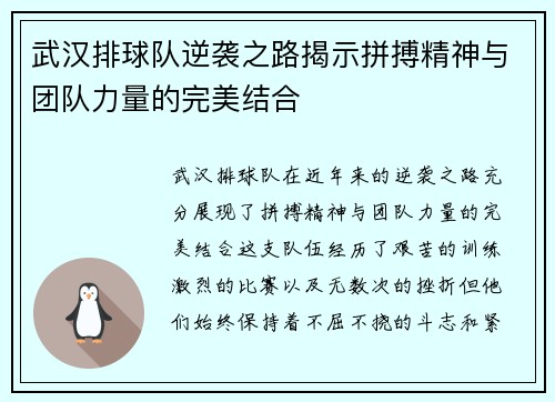 武汉排球队逆袭之路揭示拼搏精神与团队力量的完美结合