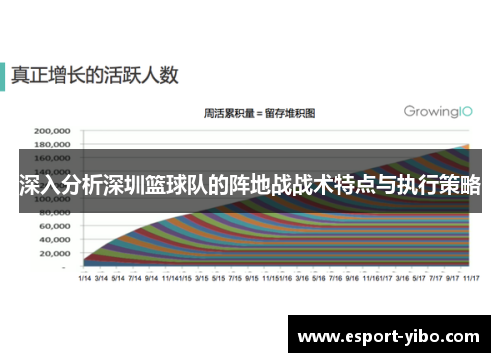 深入分析深圳篮球队的阵地战战术特点与执行策略