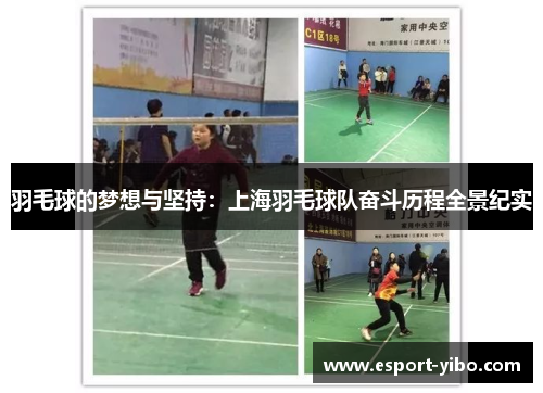 羽毛球的梦想与坚持：上海羽毛球队奋斗历程全景纪实