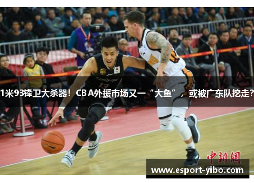 1米93锋卫大杀器！CBA外援市场又一“大鱼”，或被广东队挖走？