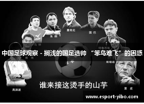 中国足球观察 - 搁浅的国足选帅 “笨鸟难飞”的困惑